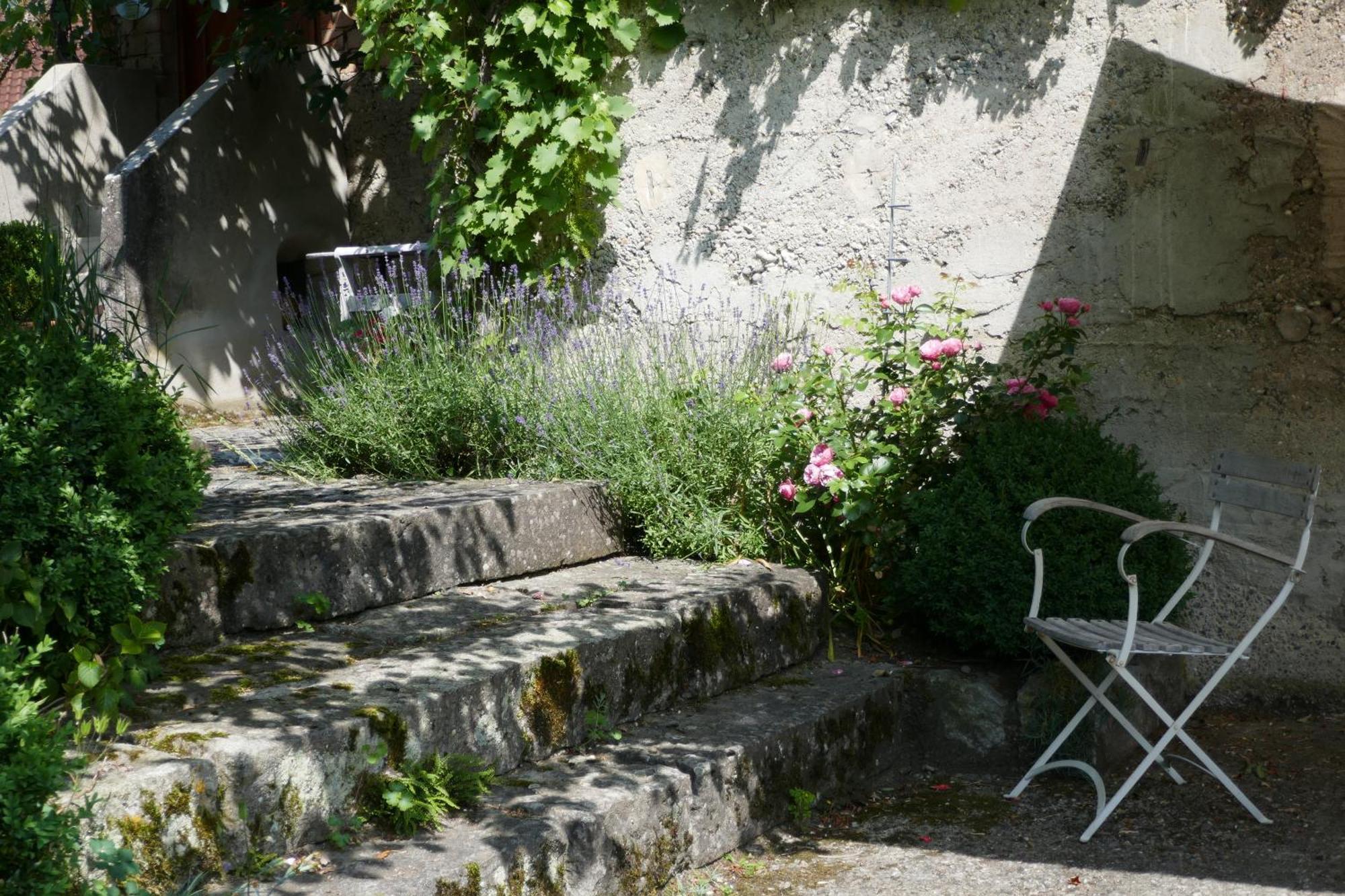 Und Zur Weilermuehle Apartment FDH